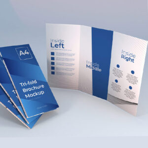 Flyer Designs - premium